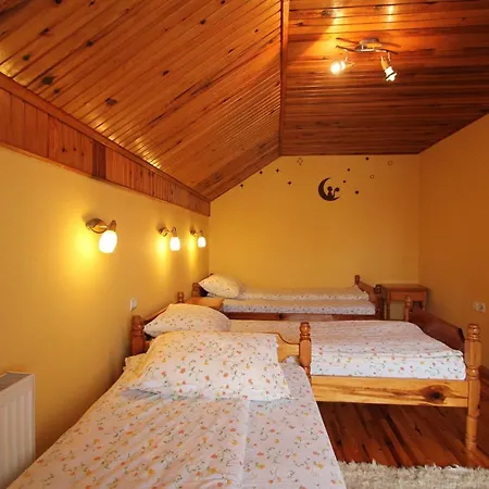 Apartment Visnja *