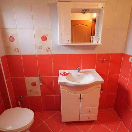Apartment Visnja *